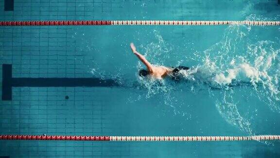 鸟瞰图男性游泳运动员在游泳池游泳职业运动员为锦标赛进行训练采用自由泳自由泳技术电影宽慢动作跟踪镜头