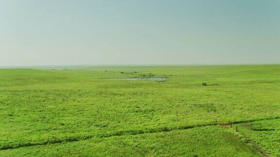 无人机飞越郁郁葱葱的堪萨斯草原