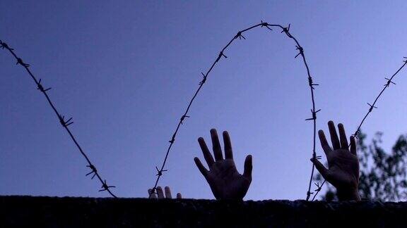 孩子和大人双手放在铁丝网后面要求自由