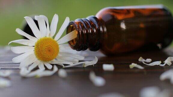 室外木桌上洋甘菊花瓣落在精油棕色玻璃瓶上健康香薰水疗美容概念