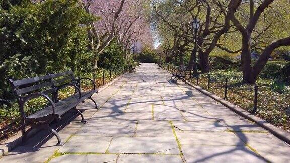曼哈顿的中央公园