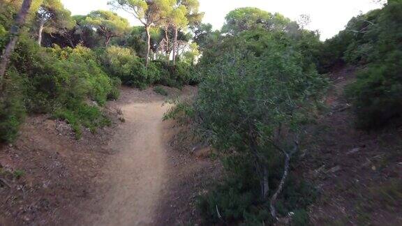 用无人机在西班牙山区和森林拍摄的壮观视频