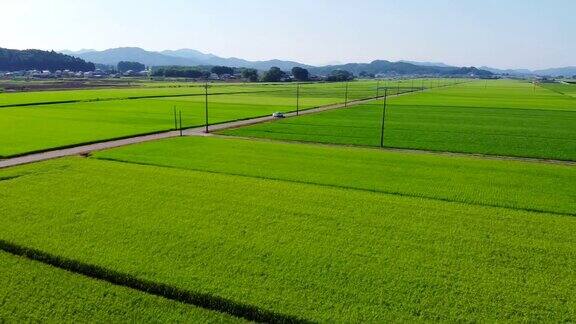 日本夏季乡村景观鸟瞰图