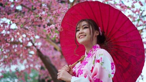 穿着和服的女人拿着伞看着花园里盛开的樱花