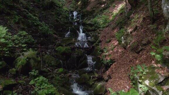 摄像机沿着隐藏在森林中的小溪上升