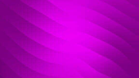 动画背景与紫色的阴影线性波和一个缓慢移动的光在中心区域抽象的紫色和粉红色的现代最小几何动画背景紫色