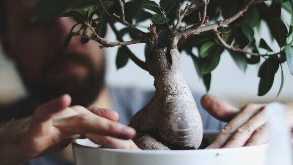 植物保健