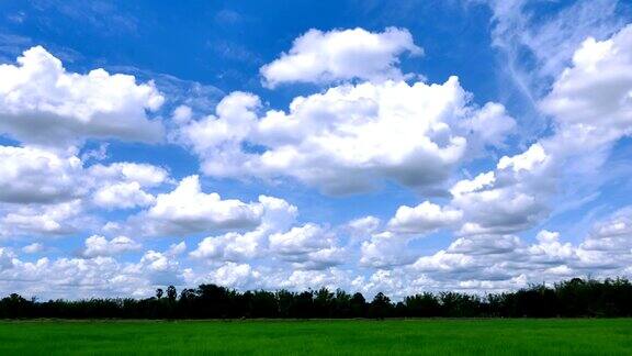 草坪上空云的移动时间流逝
