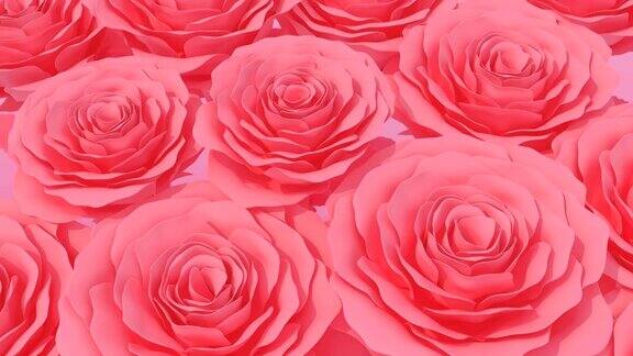 盛开的红玫瑰柔和的颜色