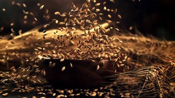 超级慢动作大麦粒盘落在桌上用高速摄像机以每秒1000帧的速度拍摄