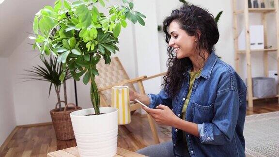 年轻女子一边用智能手机一边给家里的植物浇水