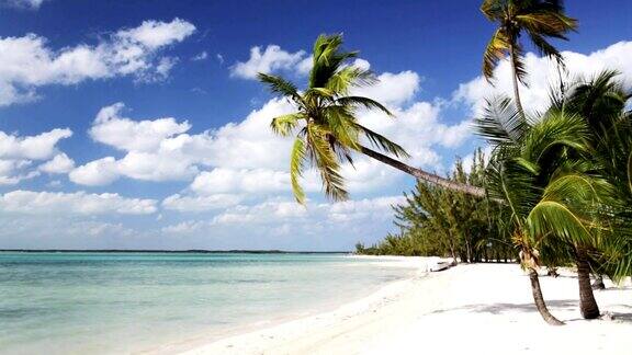 热带海滩棕榈树和船
