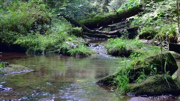 自然溪流平静放松水流淙淙