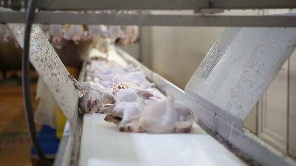 鸡肉生产线食品行业