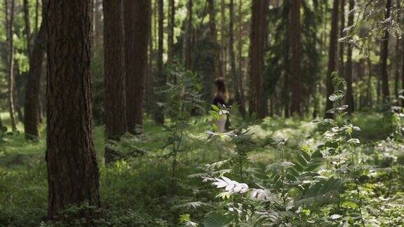 一个女孩走过森林