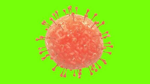 绿色屏幕背景上的科学冠状病毒粒子的3D渲染