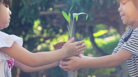 可爱的小女孩给了她的妹妹一个花盆的绿色背景春天生态概念世界环境日