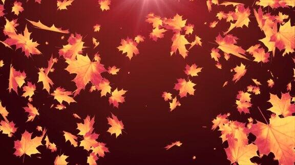 秋天枫叶落下的阿尔法通道上的树叶循环动画