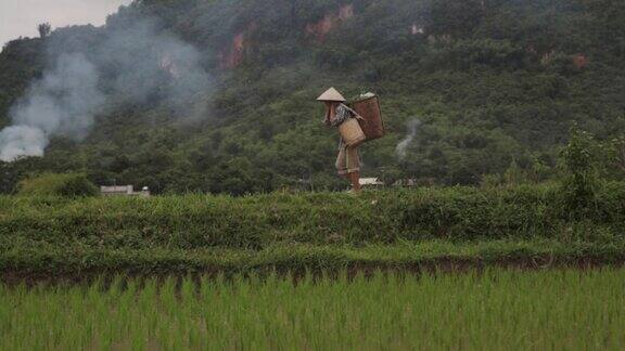 越南沙巴麦洲的一名农妇提着沉重的篮子