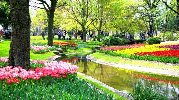 日本东京美丽的花园