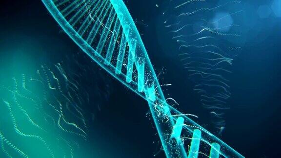 DNA分子4k