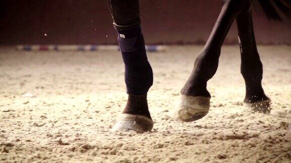 慢动作:马在跑的时候踢沙子