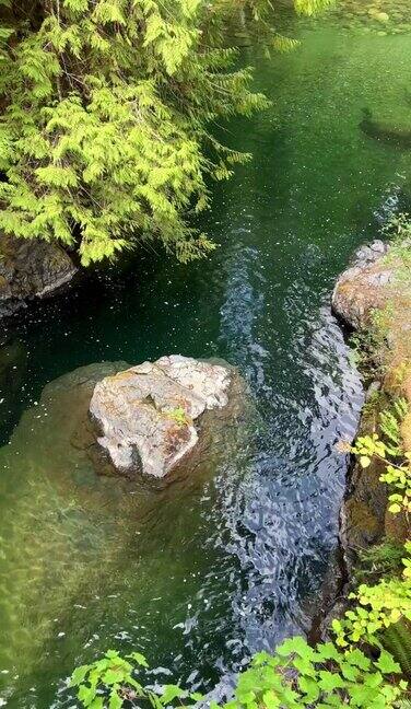 美丽的英国人河瀑布上部帕克斯维尔不列颠哥伦比亚省加拿大