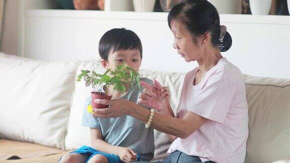 孙子和奶奶