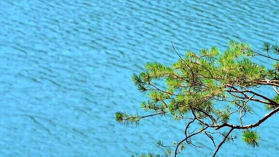 美丽的贝洛沃湖在山全景4k