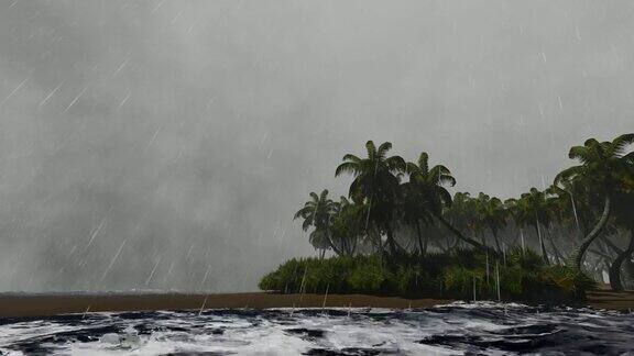 有棕榈树的暴风雨天气