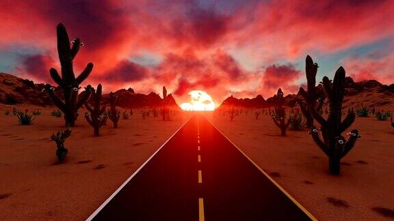 美丽的日落在美国沙漠
