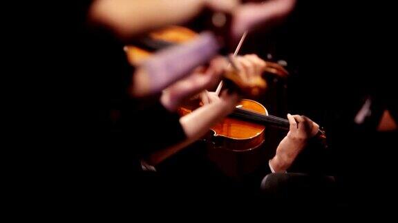 音乐会上小提琴的演奏
