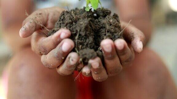 手捧种植小树的男孩理念拯救地球拯救世界拯救地球生态理念慢动作