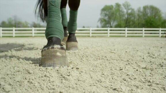 慢镜头特写:马在沙屋中行走
