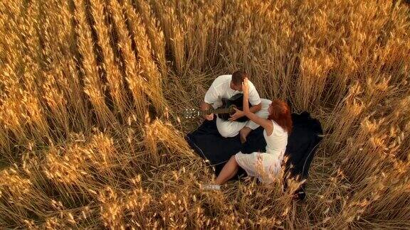 HDCRANE:小麦中的浪漫时刻