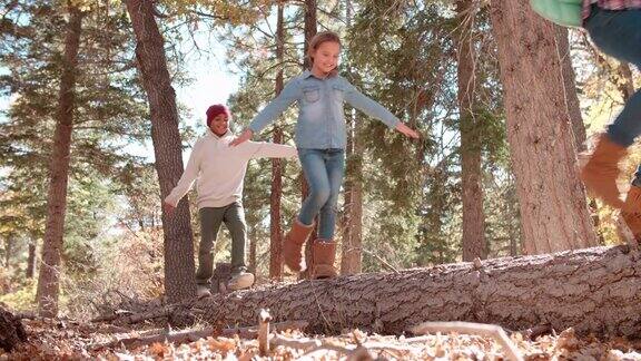 三个孩子在森林里倒下的树上保持平衡
