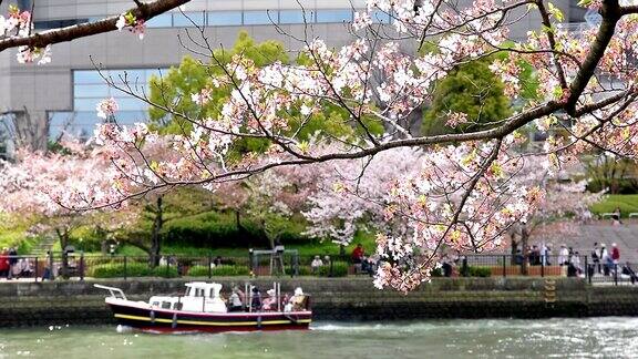 在大阪铸造局周围樱花盛开游船和观赏樱花的人群在背景中