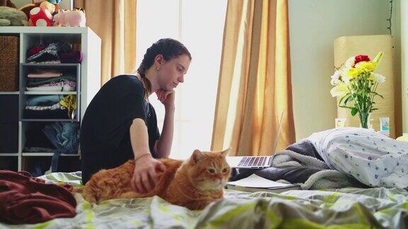 十多岁的女孩一名大学生坐在自己房间的床上抚摸着猫用笔记本电脑工作