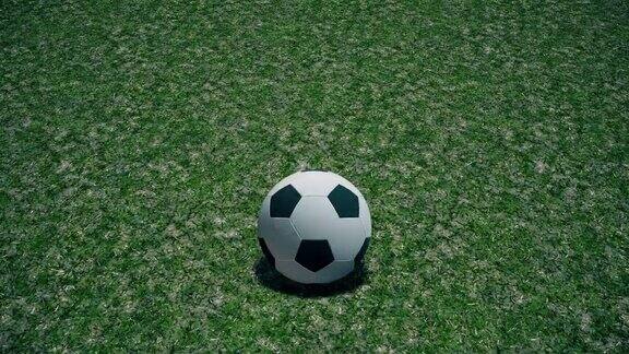 在草地上缓慢滚动的无商标的足球无缝循环