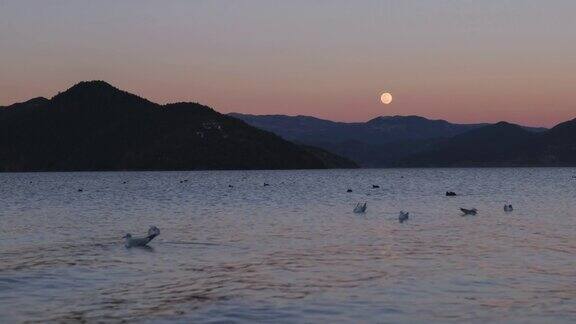 一轮明月从泸沽湖上冉冉升起