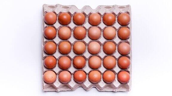 4k定格运动:一排棕色鸡蛋在白色背景的纸板箱中移动