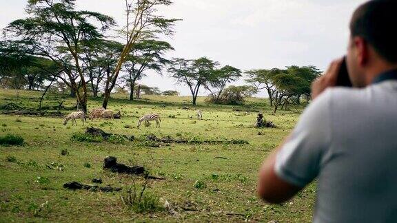 摄影师用相机拍摄非洲保护区的野生斑马