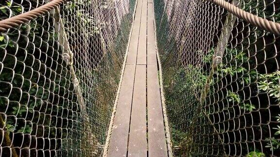 漫步在茂密的雨林树叶间的木质吊桥上