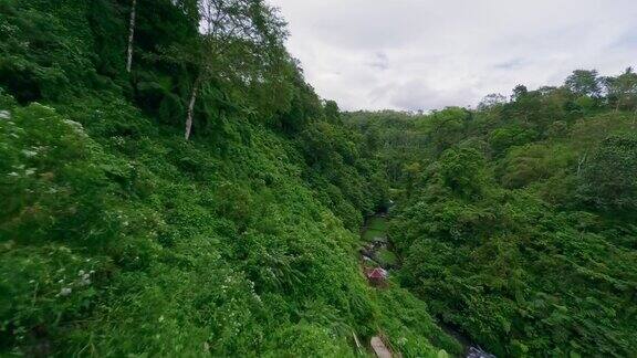 鸟瞰图亚洲热带丛林公园雨林小径与木栅栏和楼梯