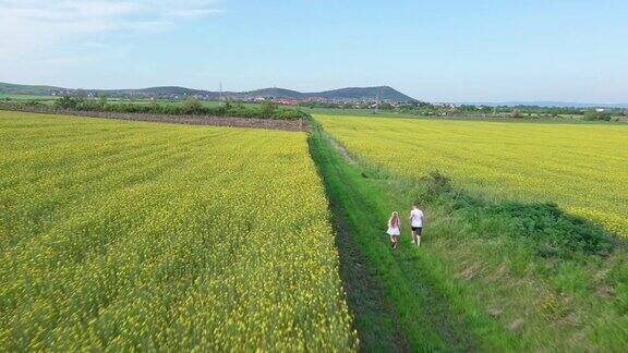 孩子们:哥哥和妹妹在晴朗的天空下沿着油菜花间的草地小路奔跑