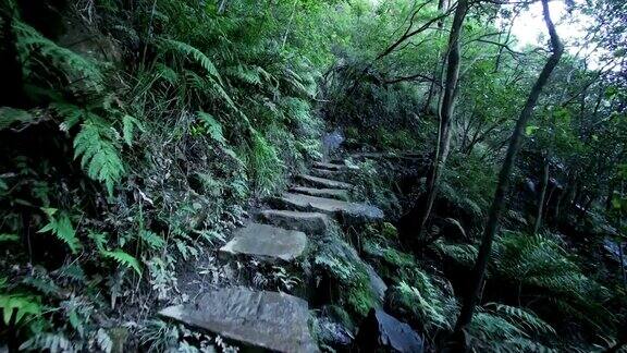 天然森林中有岩石徒步路线的徒步者的POV