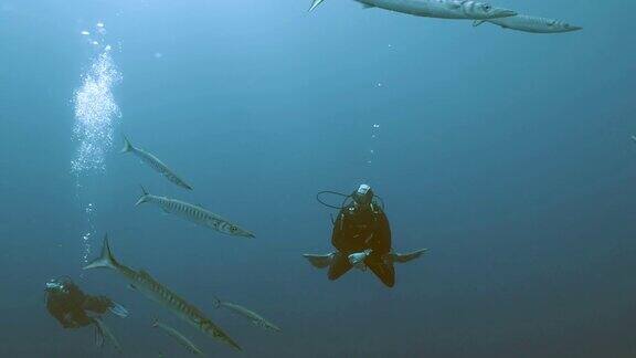 戴水肺的潜水员在蓝色的水中观赏海鱼