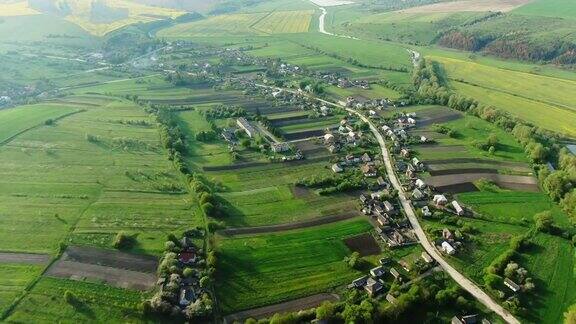 小村庄周围绿油油的田野乡村公路-鸟瞰图
