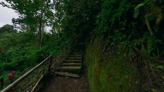 鸟瞰亚洲热带丛林雨林小径木栅栏楼梯山公园向上远足