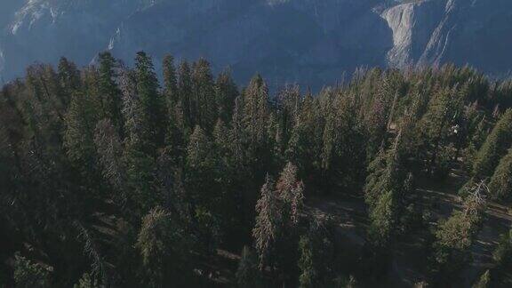 鸟瞰图约塞米蒂国家公园加利福尼亚州美国